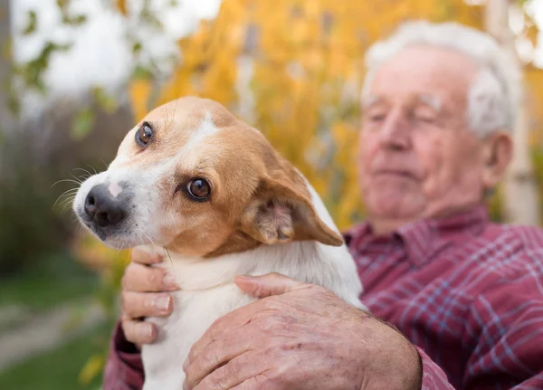 Старик с собакой в парке — стоковое фото
