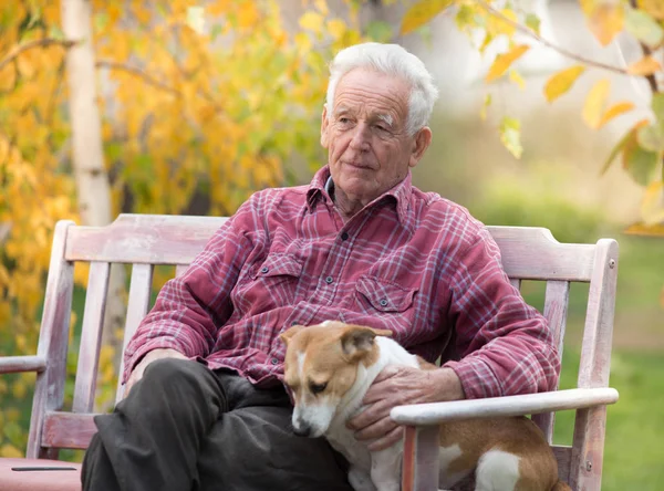 Старий чоловік з собакою на лавці в парку — стокове фото