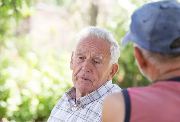 Dois homens seniores a falar no parque — Fotografia de Stock