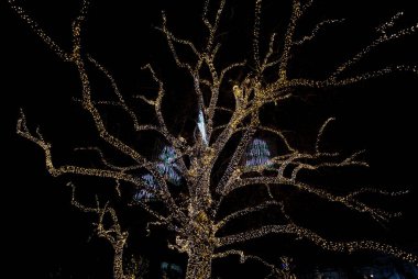 Yaprak döken ağaç Noel ışıkları