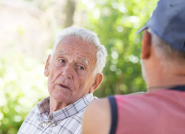 To ældre mænd taler i parken - Stock-foto