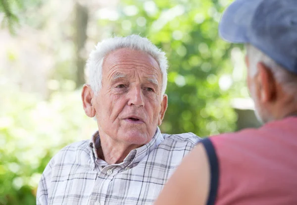 Dos hombres mayores hablando en el parque — Foto de Stock