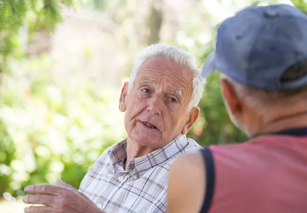 两个老人在公园里谈话 — 图库照片