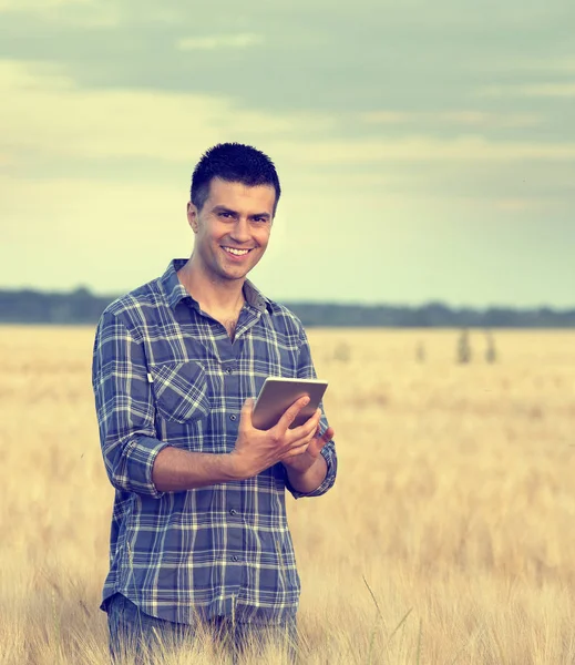 Agricultor com comprimido no campo — Fotografia de Stock