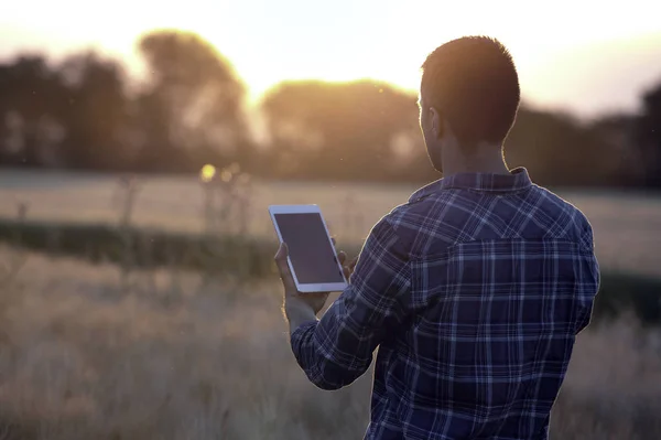 Landwirt hält Tablette bei Sonnenuntergang im Feld — Stockfoto