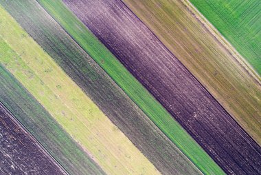 Tarım alanlarının soyut resim