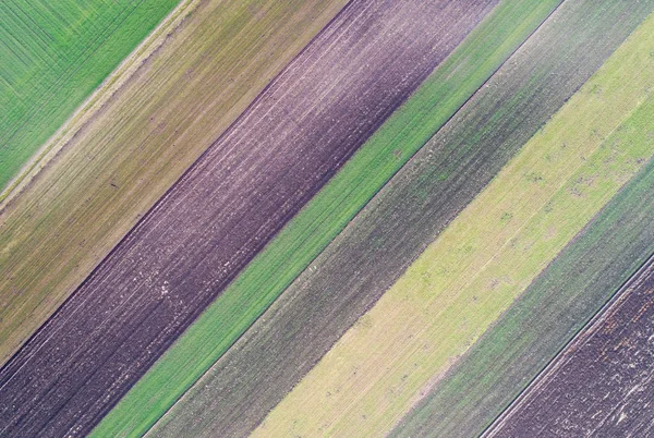 Абстрактний образ сільськогосподарських угідь — стокове фото