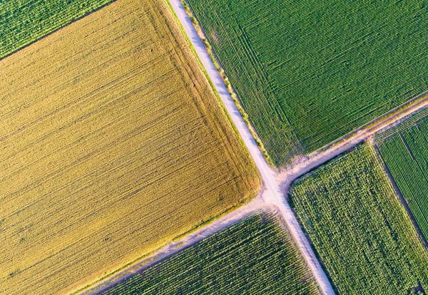 Bovenaanzicht van de percelen landbouwgrond — Stockfoto