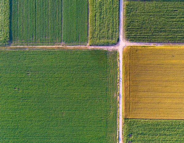 Vista superior das parcelas agrícolas — Fotografia de Stock