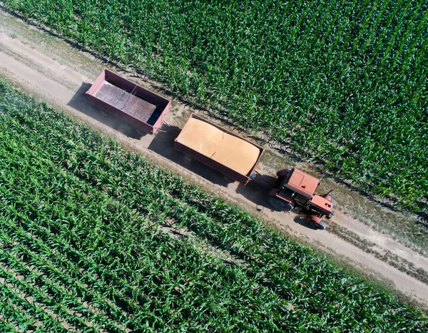 Dopravu zrna v přívěsu traktoru — Stock fotografie