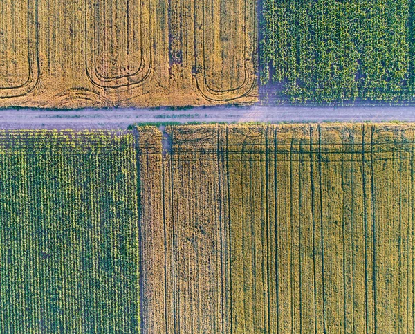 Bovenaanzicht van de percelen landbouwgrond — Stockfoto