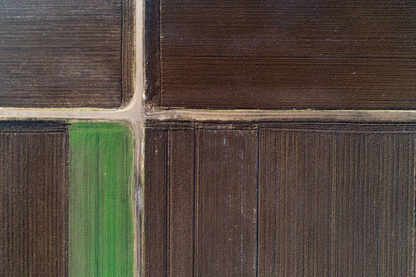 Vue du dessus des parcelles agricoles — Photo