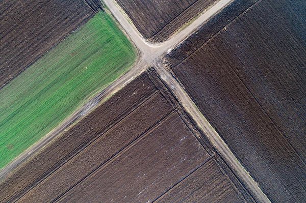 農業区画の平面図 — ストック写真