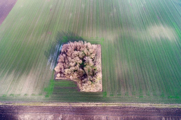 Immagine aerea dei campi agricoli — Foto Stock