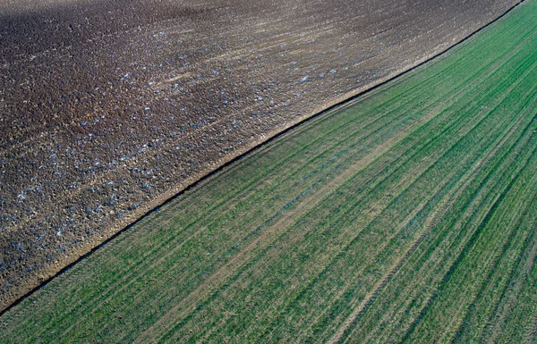 農業分野の航空写真 — ストック写真
