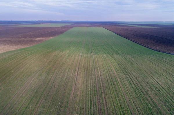 Luchtfoto foto van landbouwgronden — Stockfoto