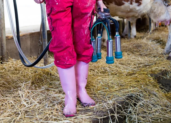 Boer meisje met milking machine in stal — Stockfoto