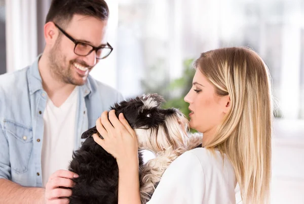 Schattige hond met eigenaar en dierenarts vrouwelijke arts — Stockfoto