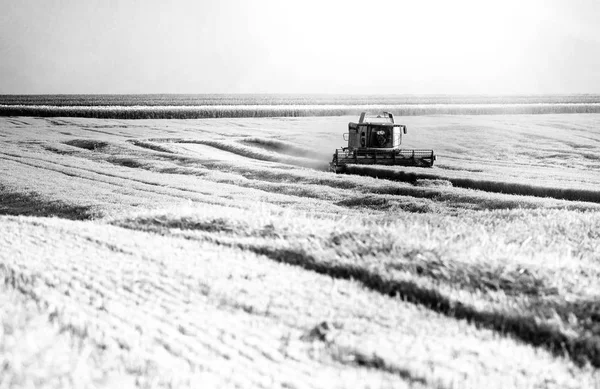 Combine harvester working — Stock Photo, Image