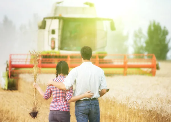 Menschen bei der Ernte — Stockfoto