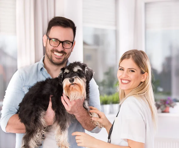 Tierarzt und Hundebesitzer — Stockfoto