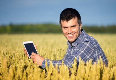 Buğday alanında tablet ile çiftçi
