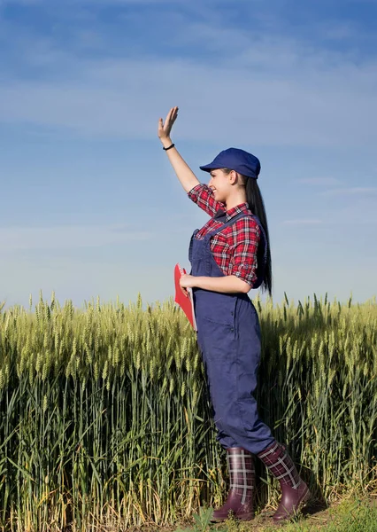 Ragazza contadina nel campo di grano — Foto Stock