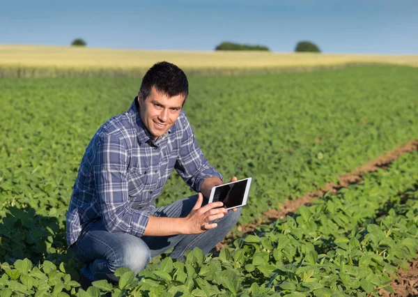 Agricultor com tablet em campo de soja — Fotografia de Stock