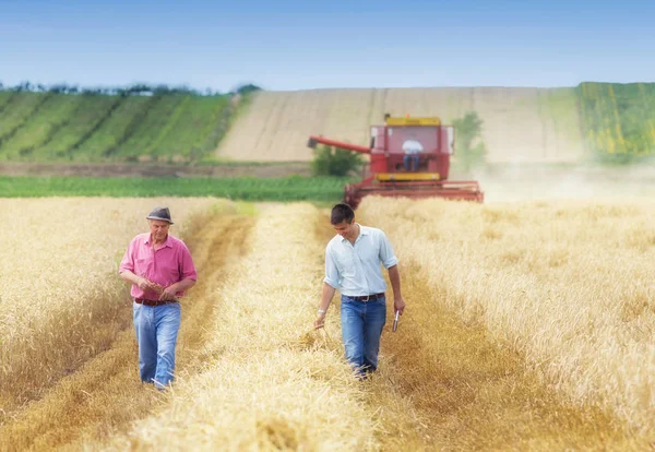 Agriculteurs dans le champ de blé pendant la récolte — Photo