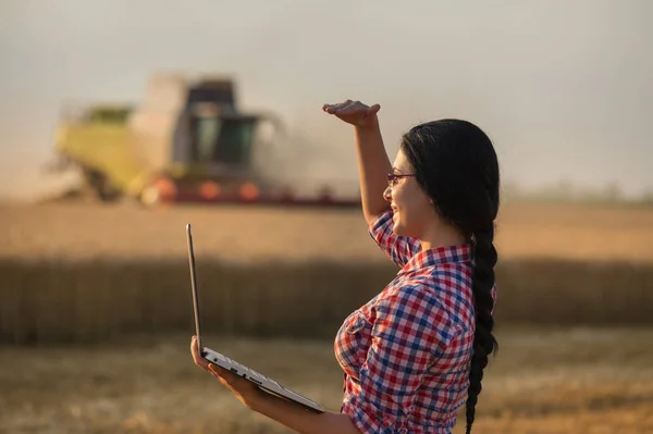 Женщина-фермер на сборе урожая — стоковое фото