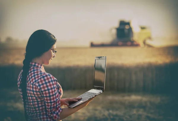 Mujer agricultora en la cosecha —  Fotos de Stock