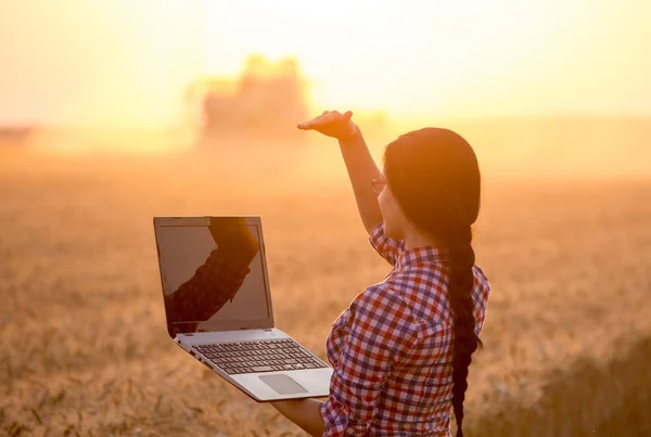 Bonde kvinna vid skörd — Stockfoto