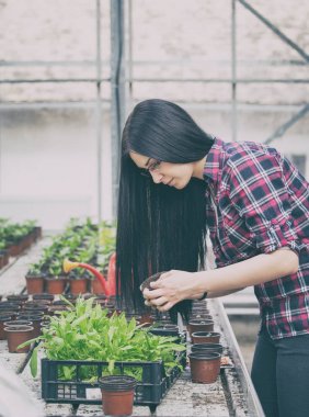 Çiftçi kız tranplanting bitki