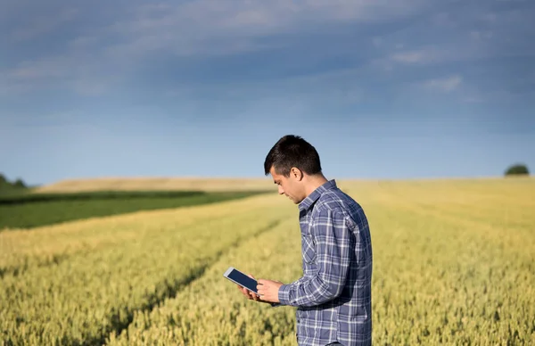 Agricoltore con tavoletta in campo di grano verde — Foto Stock