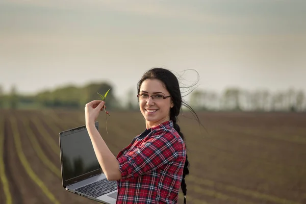 Farmář žena držící výhonek v poli — Stock fotografie