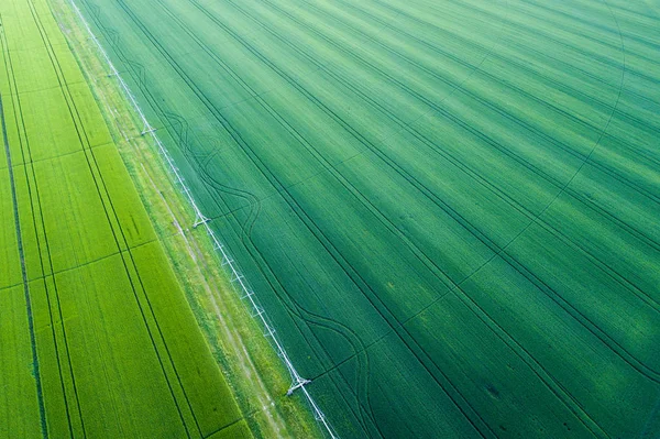 Sistema de riego en el campo de trigo — Foto de Stock