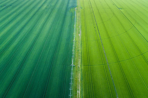 Система орошения на пшеничном поле — стоковое фото