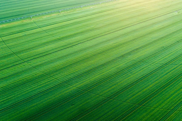 Sistem irigasi di ladang gandum — Stok Foto