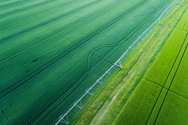 麦畑の灌漑システム — ストック写真