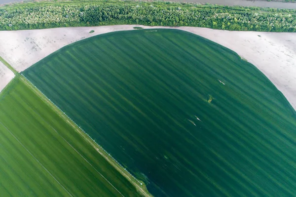 Система зрошення на пшеничному полі — стокове фото