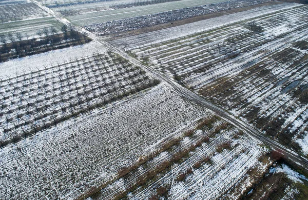 Tierras agrícolas cubiertas de nieve — Foto de Stock