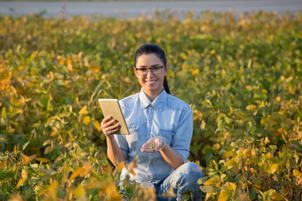 Agronomista com tablet em campo de soja — Fotografia de Stock