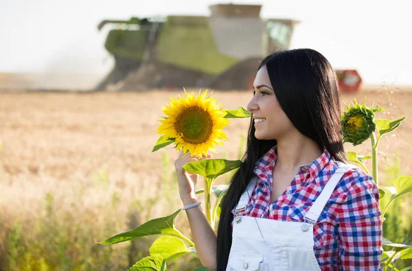 Chica en el campo de girasol — Foto de Stock