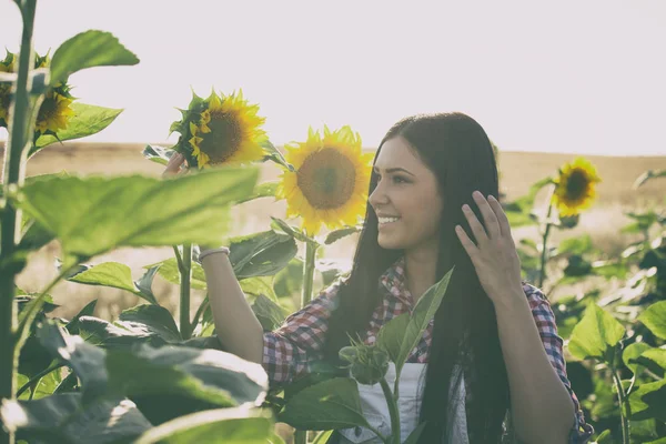 Girl in sunflower field — Stock Photo, Image