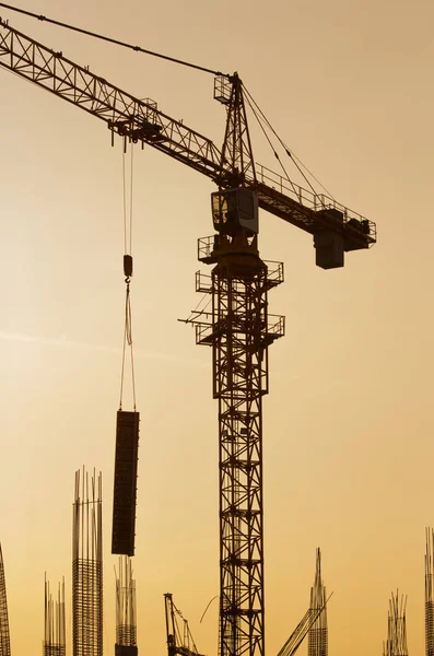 Crane in sunset — Stock Photo, Image