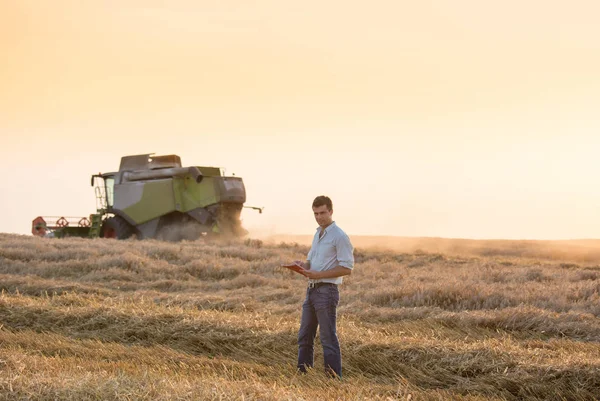 Ingegnere con notebook e mietitrebbia in campo — Foto Stock