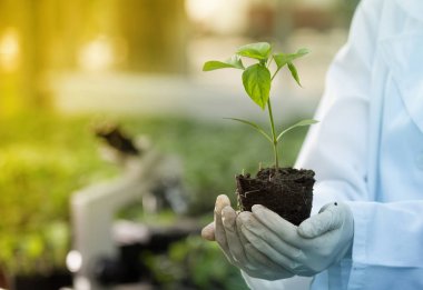 Fide sera elinde tutan Ziraat Mühendisi