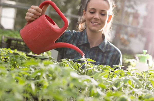 Niña agricultora regando plántulas en invernadero — Foto de Stock