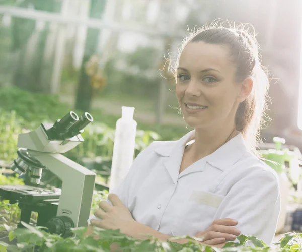 Agronom žena s překřížením rukou v greenhose — Stock fotografie