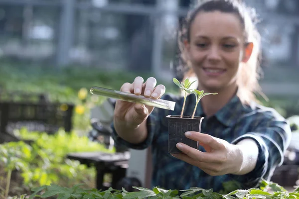 Mujer agricultora vertiendo químicos en plántulas — Foto de Stock